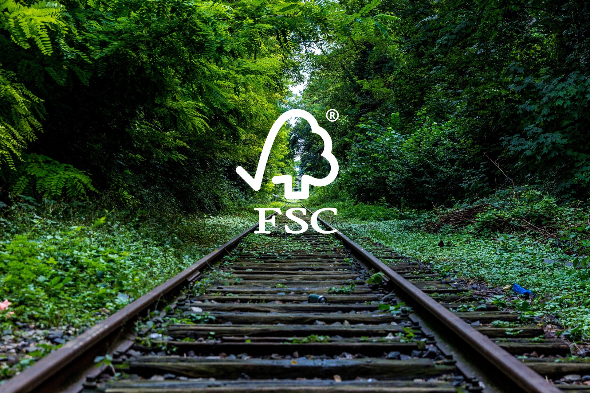 Il percorso per la certificazione FSC-COC