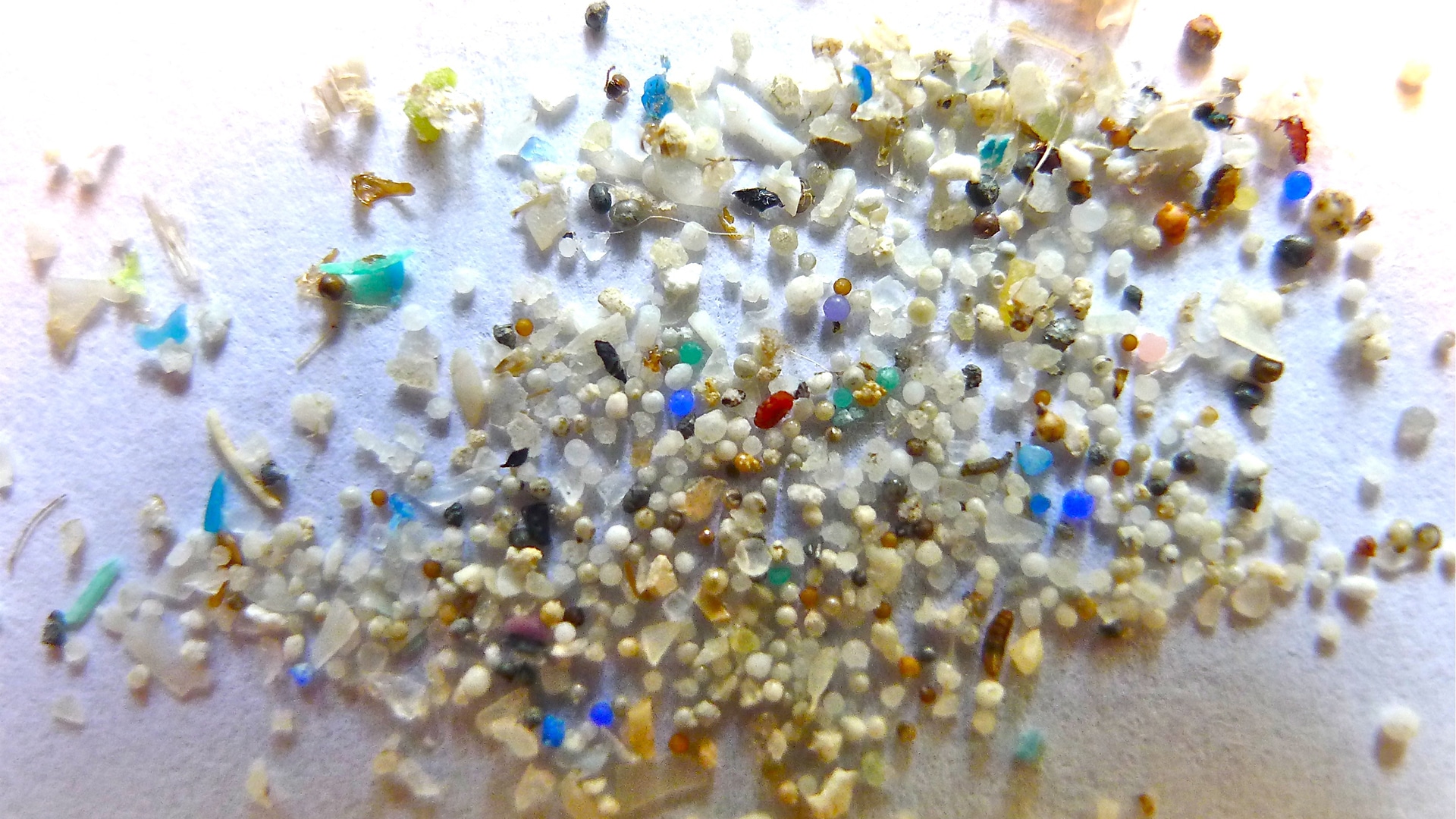 Microplastiche nei nostri vestiti? 10 consigli per il consumatore consapevole