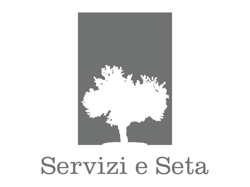 Servizi-e-Seta_logo