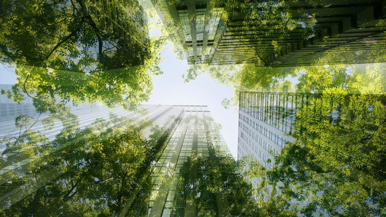 4sustainability: obiettivi ESG, mancano le competenze necessarie